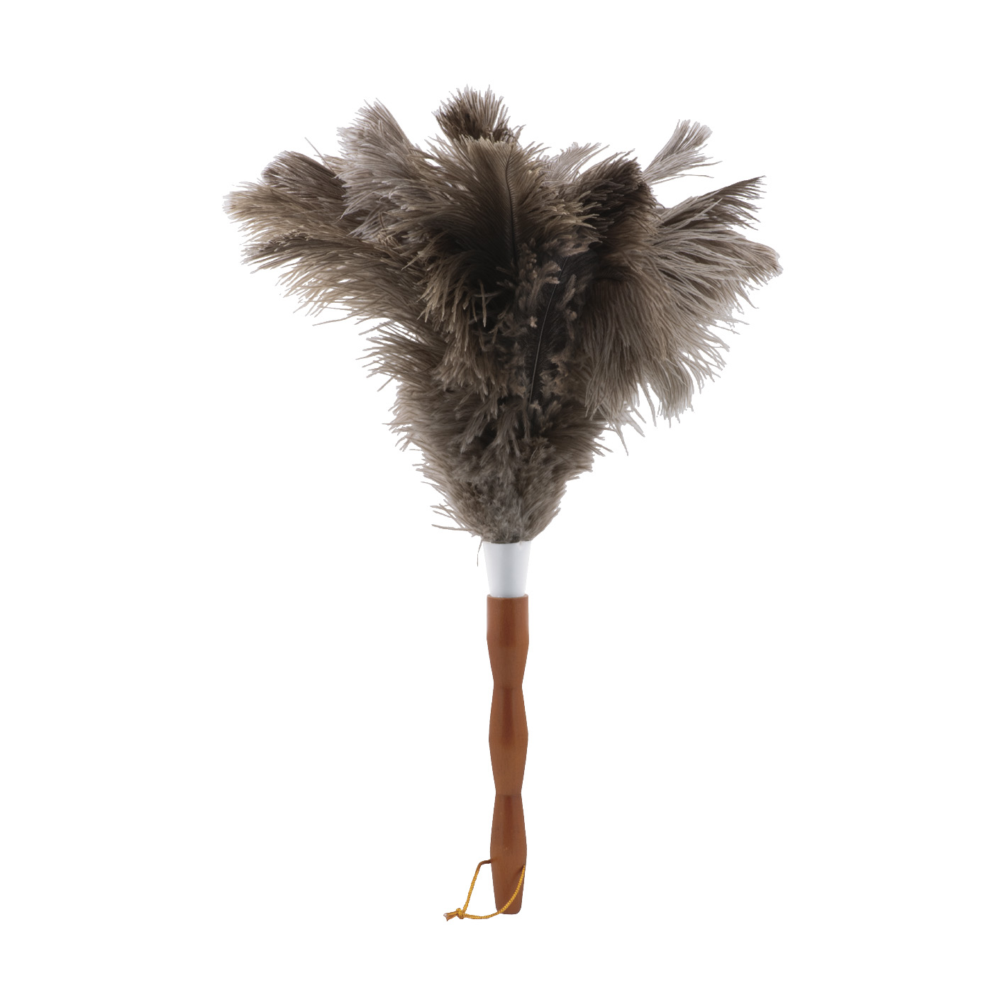 毛材 (ダチョウ)